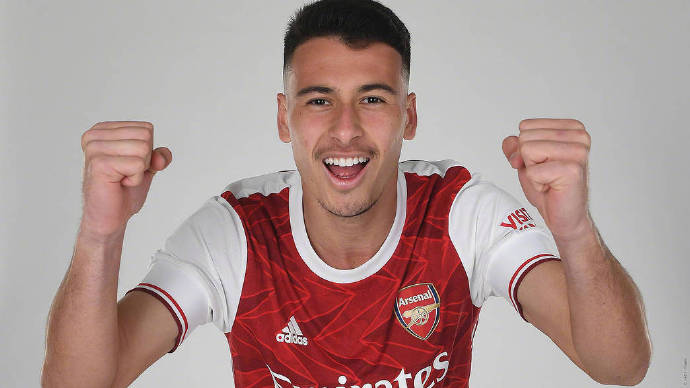 阿森纳亨利高清壁纸(阿森纳高清壁纸,有你们要的大帝 温格,喜欢自取)