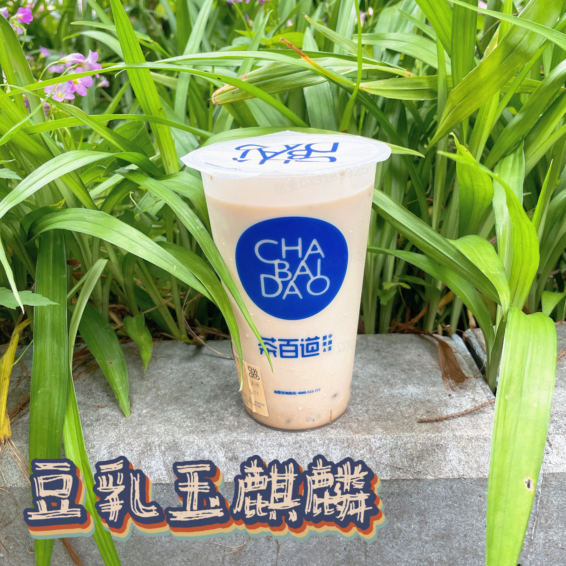 豆乳玉麒麟 三分糖 去冰