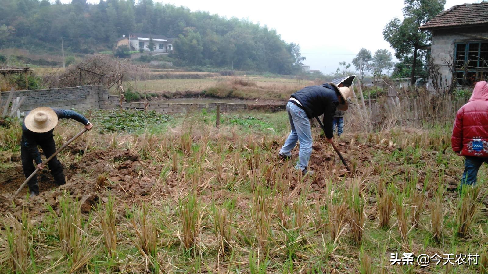 土地整理规划,土地整理规划设计收费标准