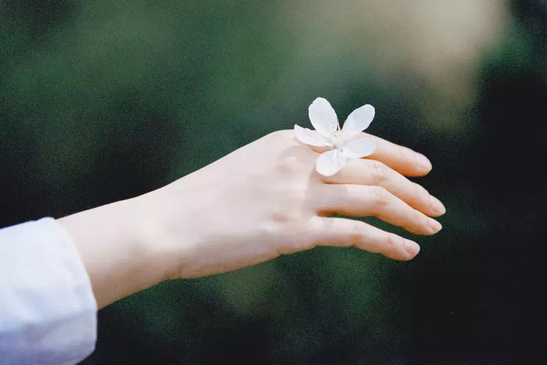 一个人熬过所有的苦，就懂了一个人熬过所有的苦，就懂了