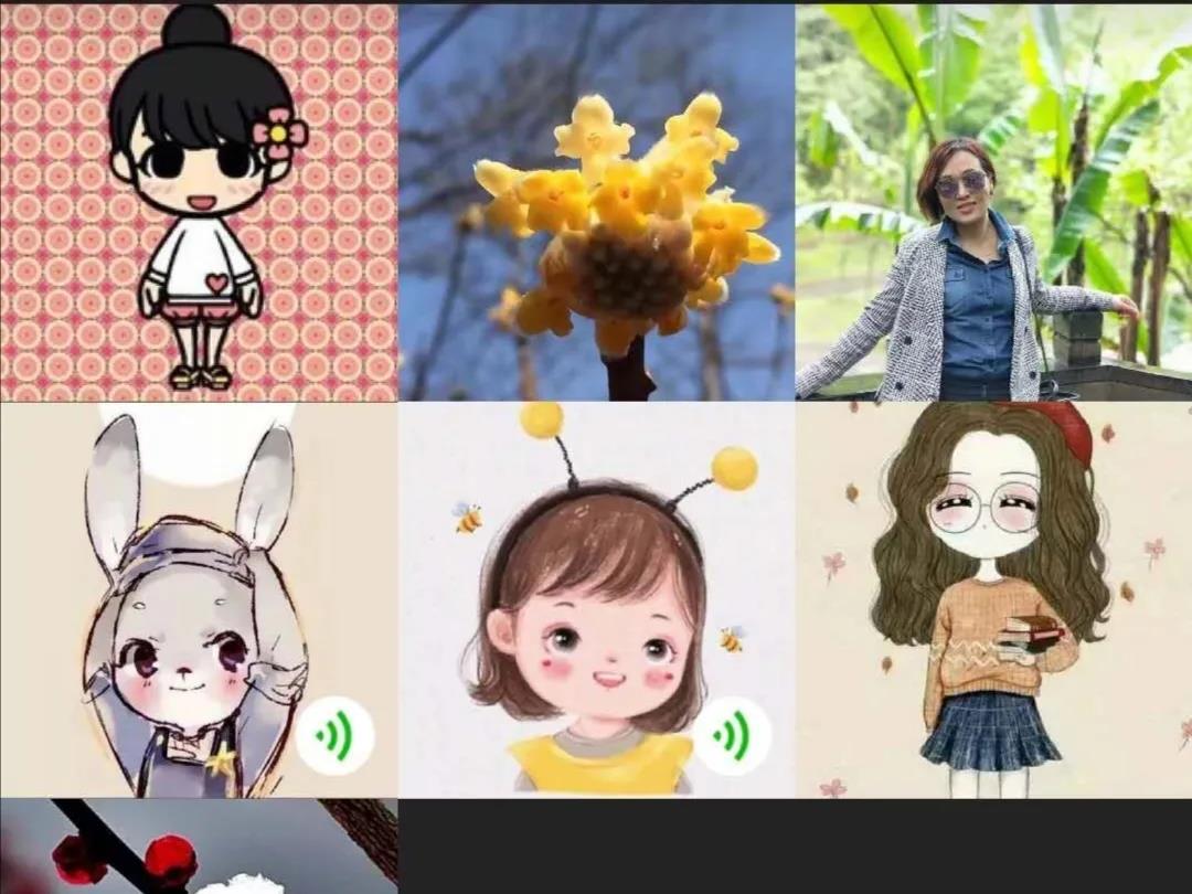 春风化雨润无声，线上教研促提升｜|枫叶教研活动纪实（五）