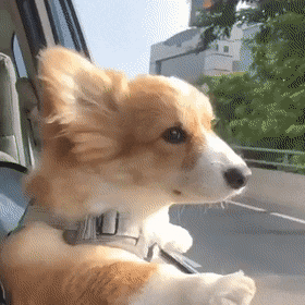 车载空调正确用法指南，制冷速度快还凉快，新老司机速速收藏