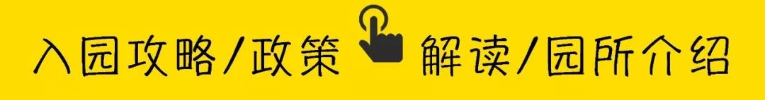 深圳十大私立贵族学校（深圳超高性价比的国际学校）