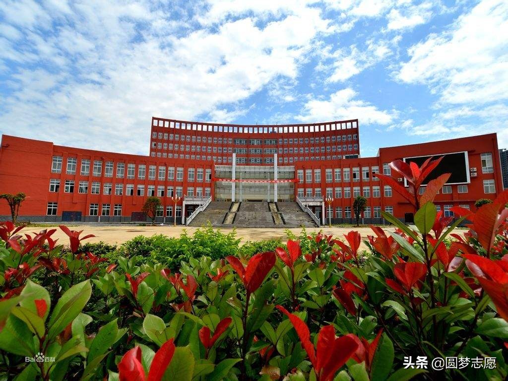 别再问专科有没有必要去读了，这5所专科学校值得去读