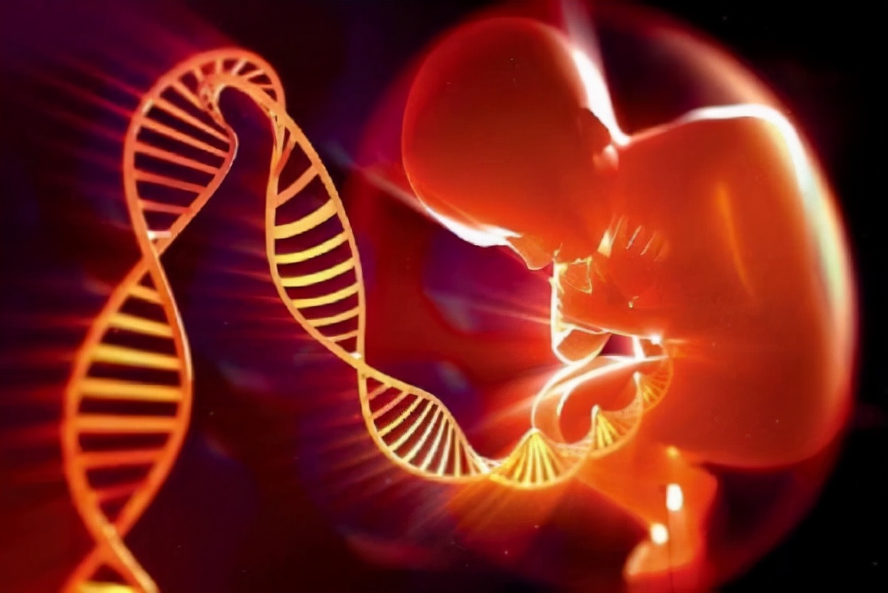 染色体也有“心机”，想方设法把优秀基因传给下一代
