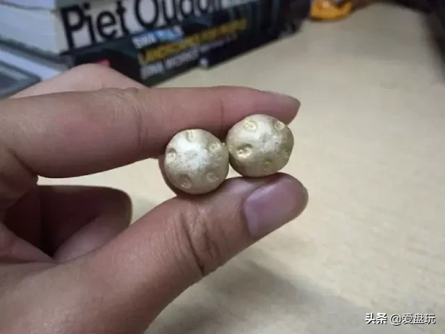 能在山上“白嫖”的10种手串,包浆超美