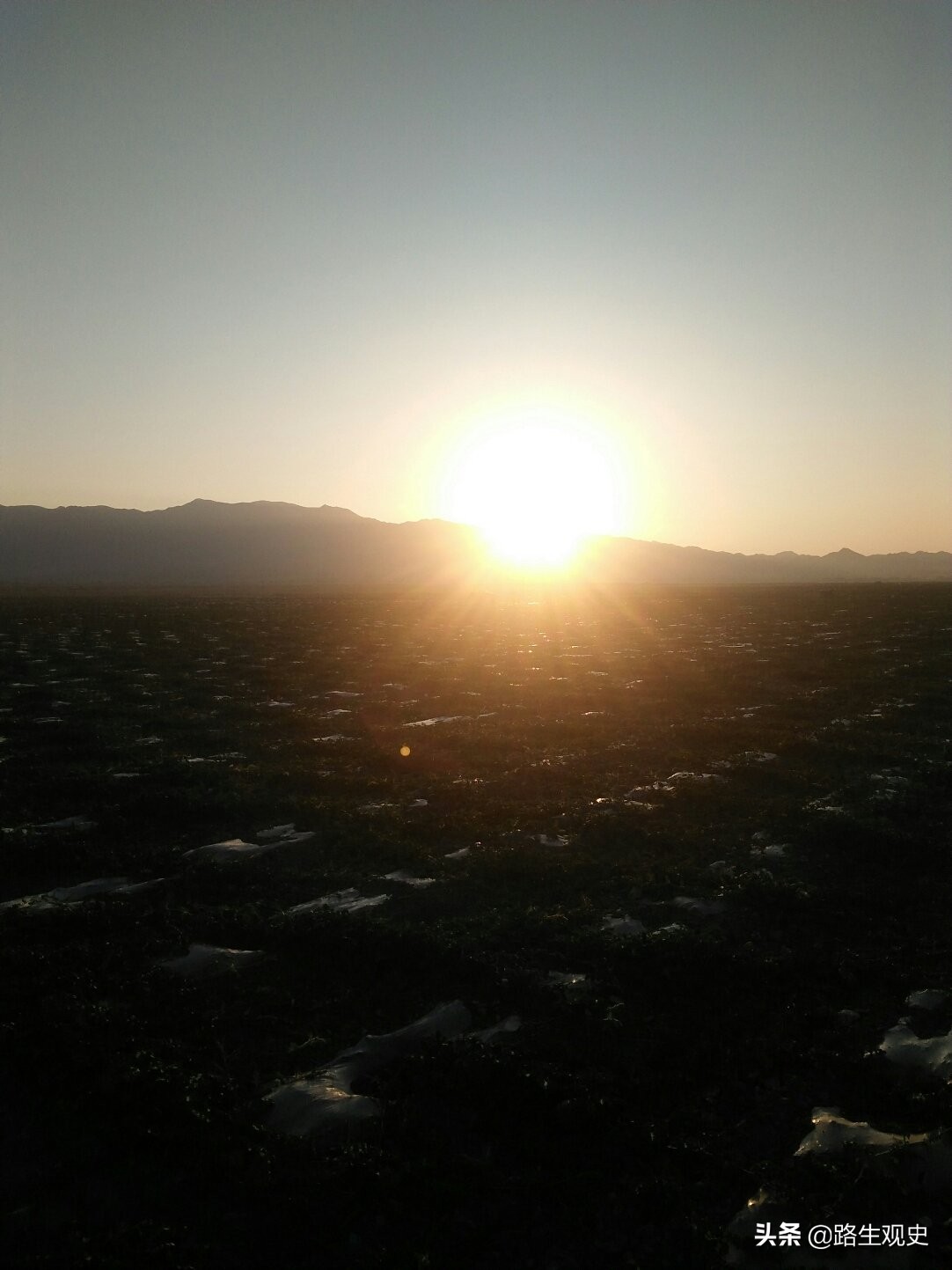 宁夏香山在哪里（形状非常像豆荚的宁夏香山）