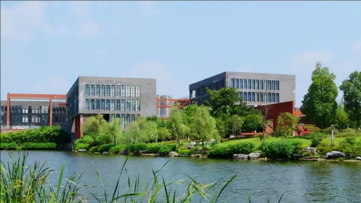 “青黄不接”，重庆大学“院士梯队”现隐忧，今年“颗粒无收”？