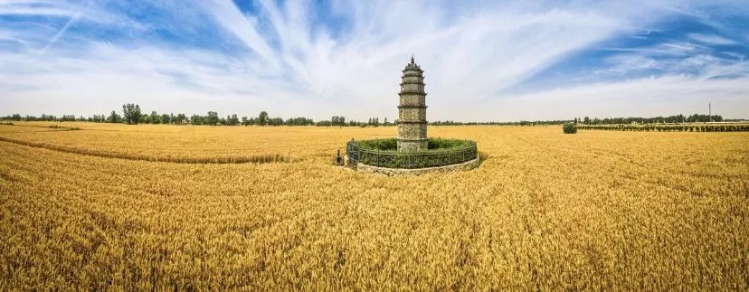 镇纪家塔,被作为世界上最小的塔载入世界吉尼斯纪录,现为利辛县重点