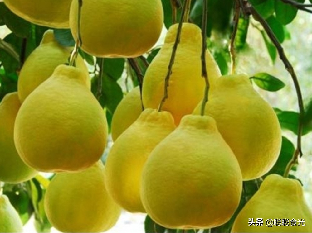 买柚子，挑尖的还是圆的好，牢记这“3点”，柚子皮薄又多汁