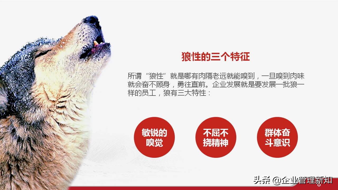 33页完整版，狼性文化与企业精神培训PPT，可直接用于员工培训