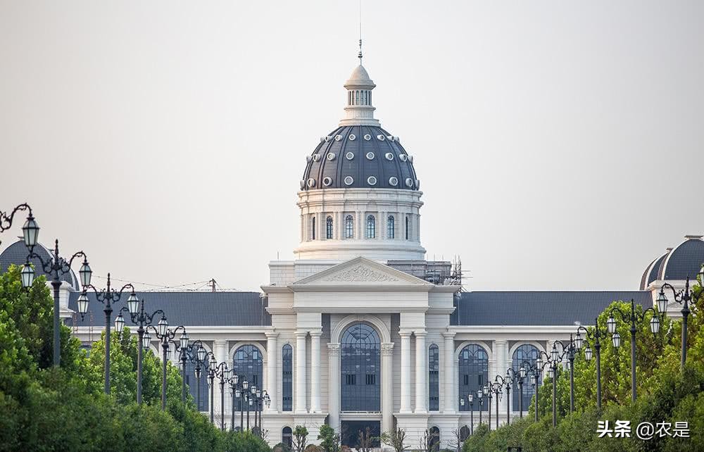 陈文，河南农业大学教授、博导，畜禽肠道健康专家