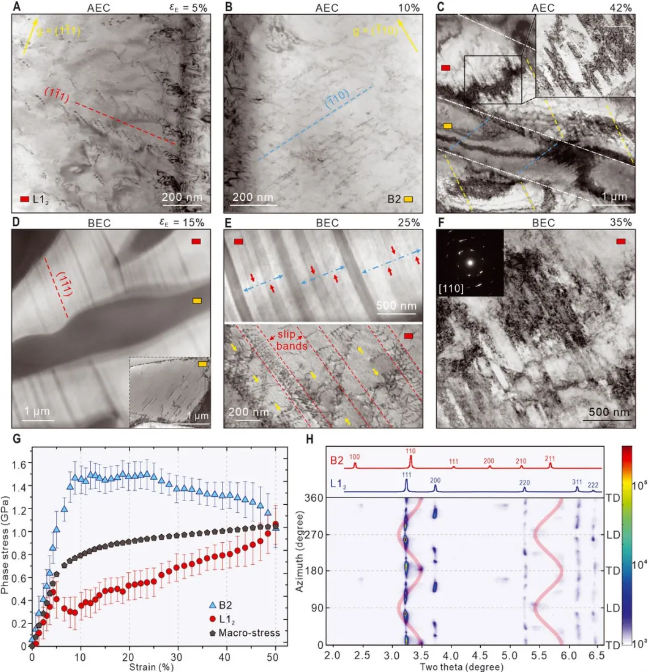 登上Science！上海科研团队成果：有望解决这一重大科学难题！