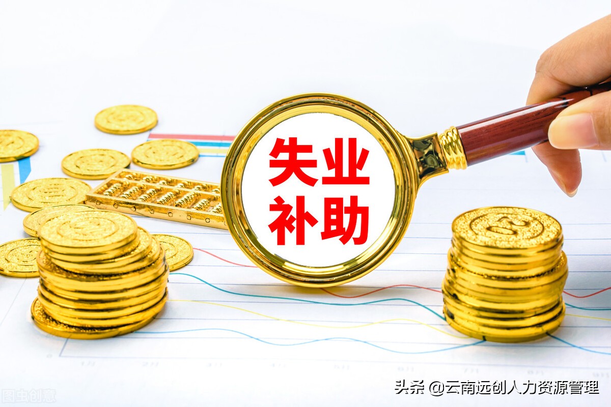 失业保险基金来源于哪里如何办理