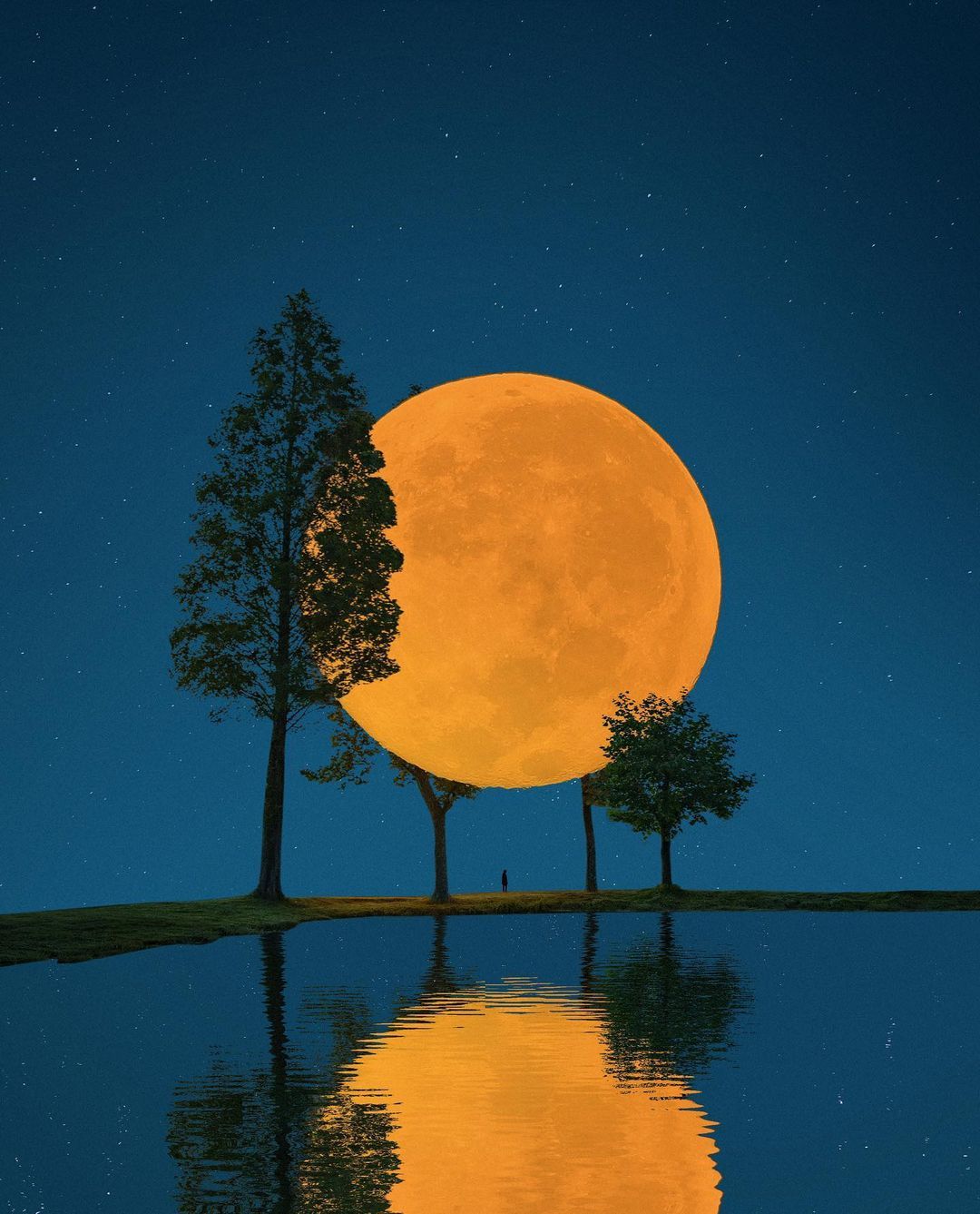 孤寂感个性朋友圈背景图,你我皆陌路