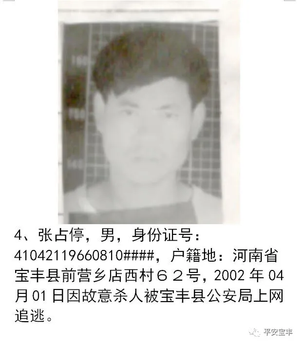 网上逃犯,网上逃犯名单查询系统