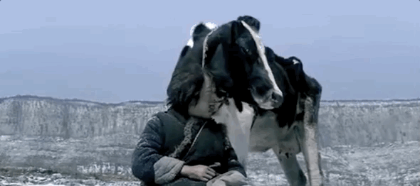 你不知道的国家冷知识（也门篇）