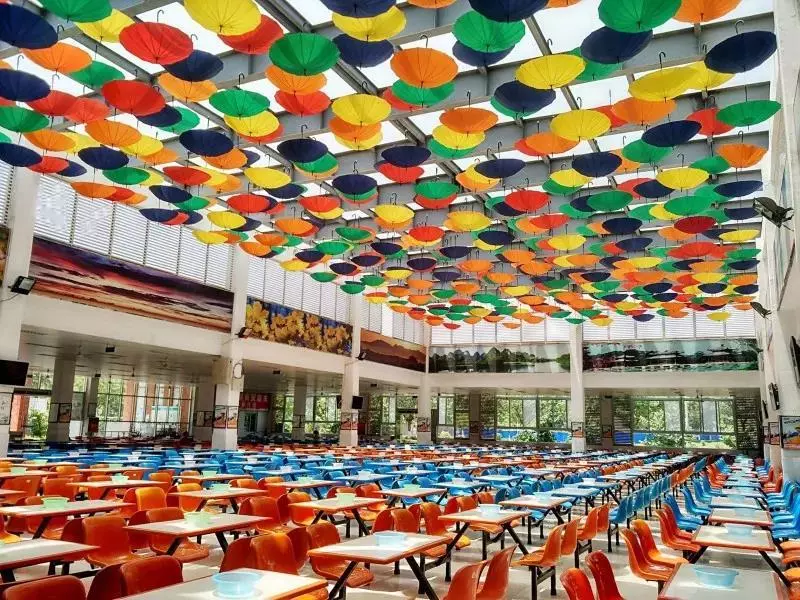 成都超“火”高校：占地2890亩，坐拥4大网红食堂，获人民日报关注！