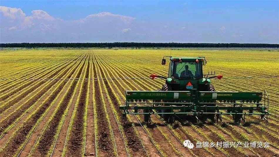 【關(guān)注】2020年盤錦市鄉(xiāng)村振興農(nóng)事大集歡迎您