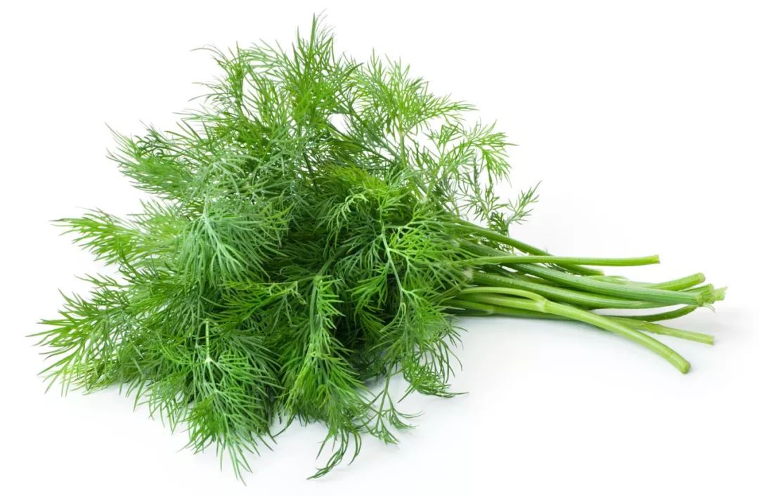 脾胃虚寒,平时容易腹痛腹泻,消化不良的人,可以适当多吃点茴香.