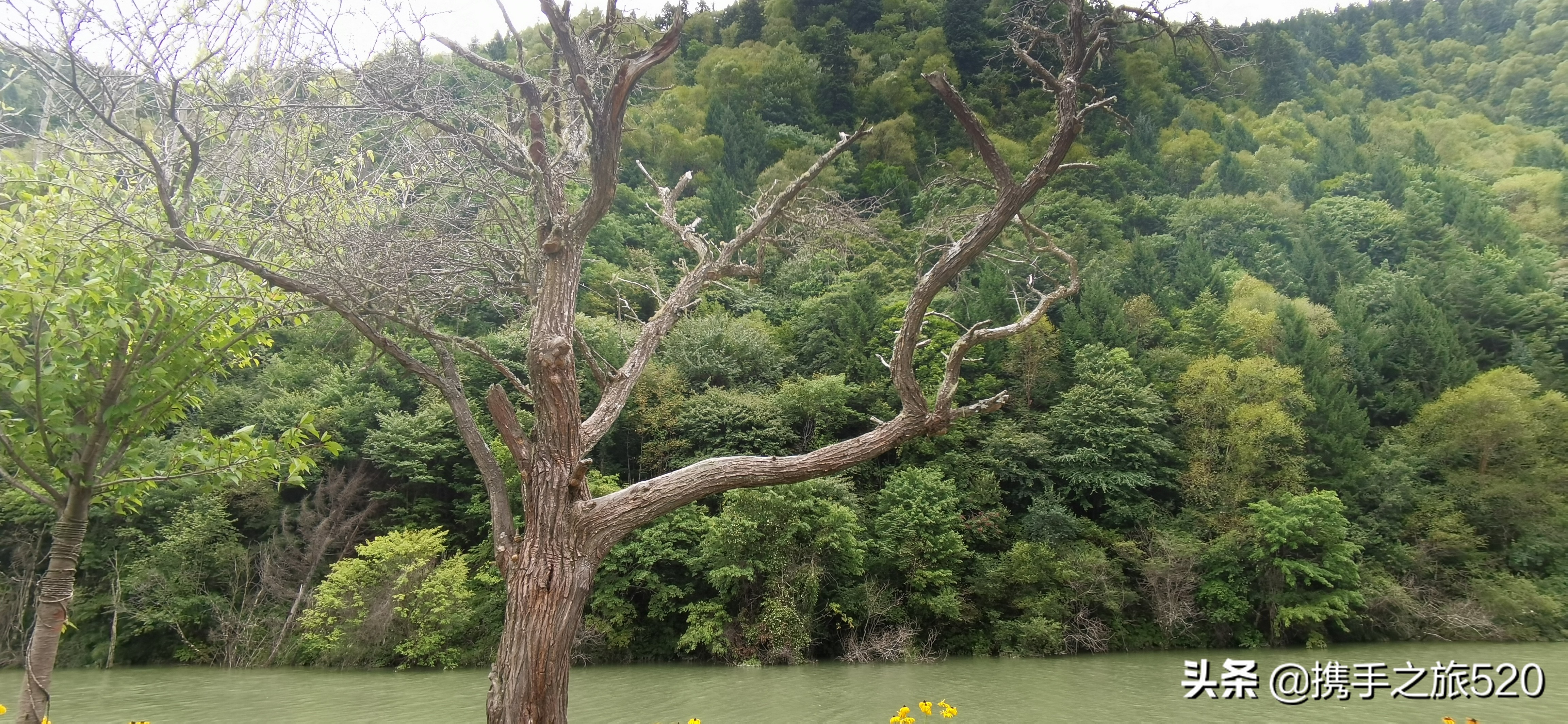 兰州出发自驾甘南川西七日游攻略