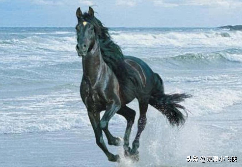 古代真有这种马?