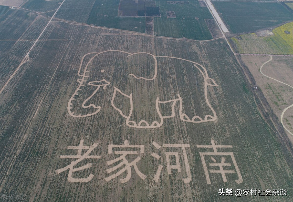 河南和浙江哪个高考难？