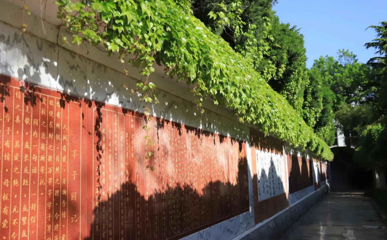 东北财经大学：2020年新增金融科技专业，录取采取