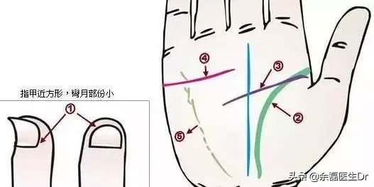 24种手诊图，揭示你的身心健康