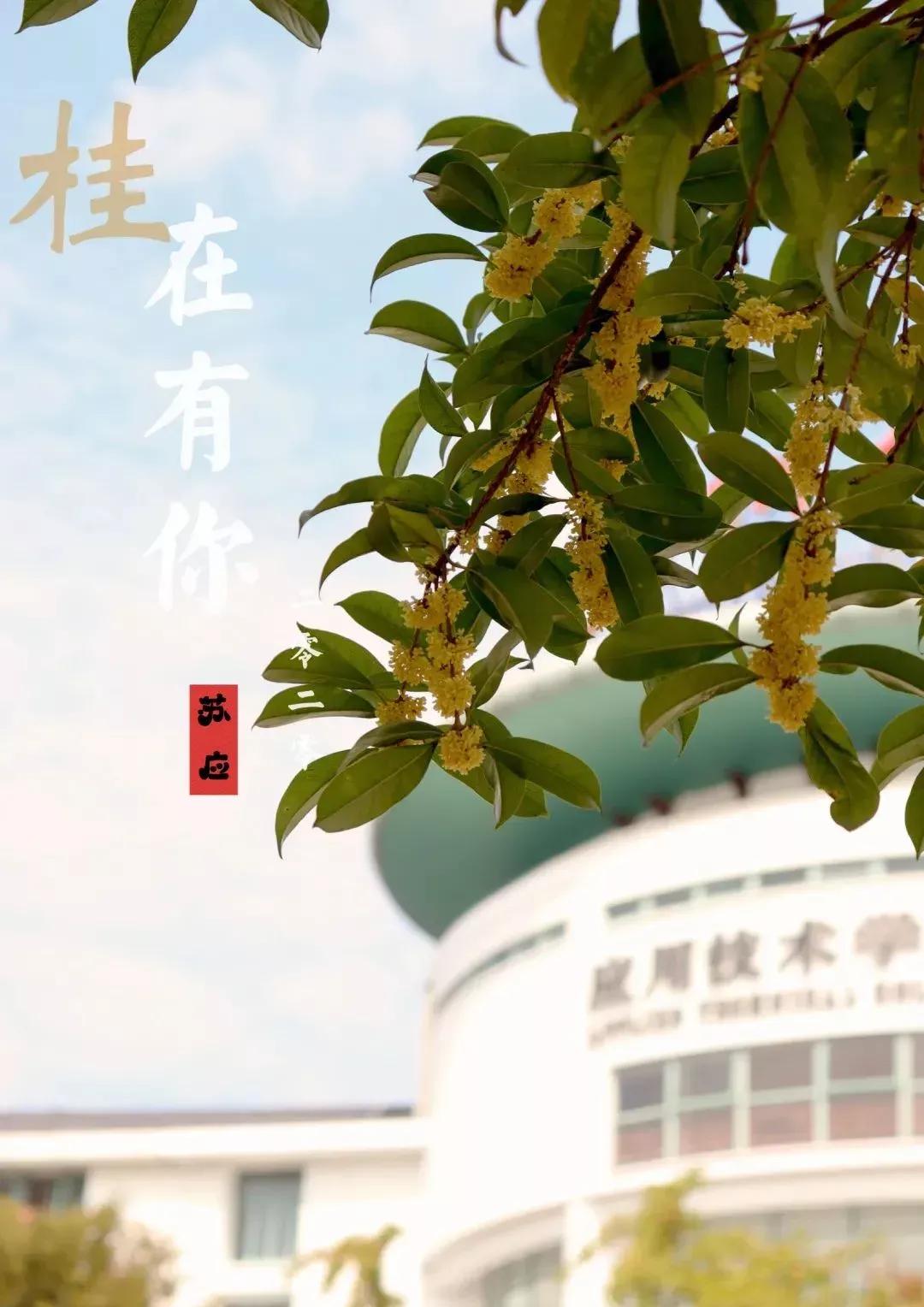 江苏省高校（六十六）苏州大学应用技术学院