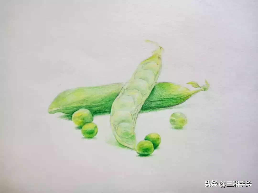 彩铅教程,豌豆荚画的淋漓尽致,零基础容易上手