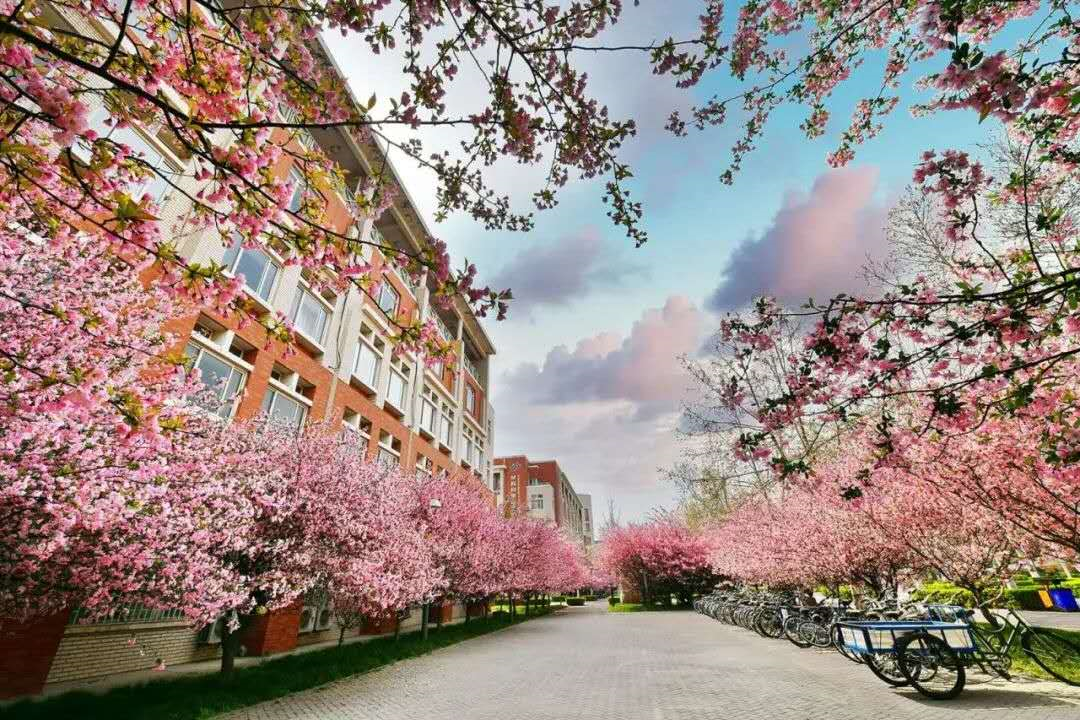 占地5700亩，坐拥四大校区、24个食堂！这可能是河南最“壕”的大学了！