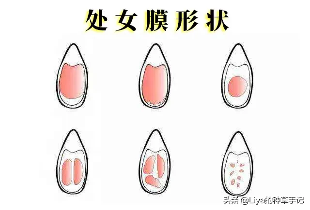 女生是不是处女,看这些特征就知道?