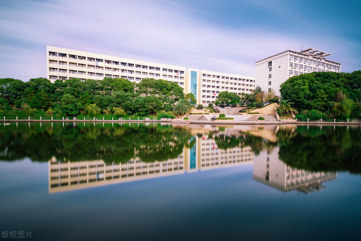 2021年高考文化453分美术统考337分，能报考的大学有哪些？