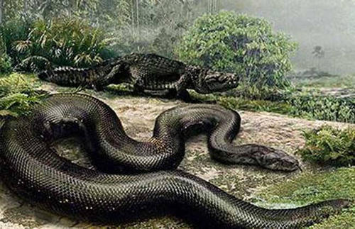 1936年江苏射阳大蛇事件解密：世上真的存在大蛇吗？？