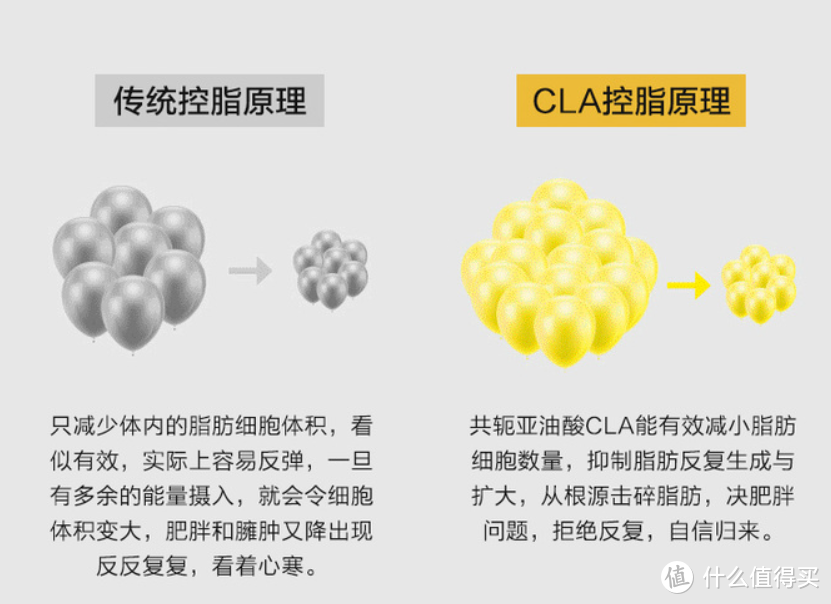 乱买不买错：健身需不需要补剂？｜我来教你怎么买补剂