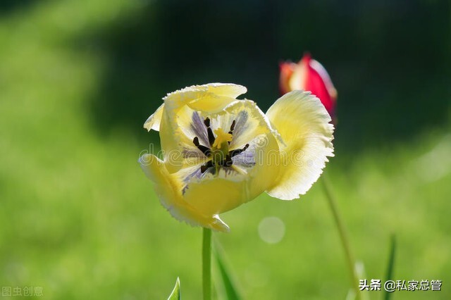 原来真正崩溃是没有声音的
