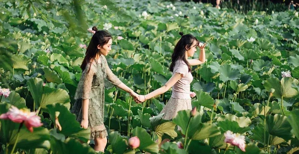 重庆大学，为啥这么牛