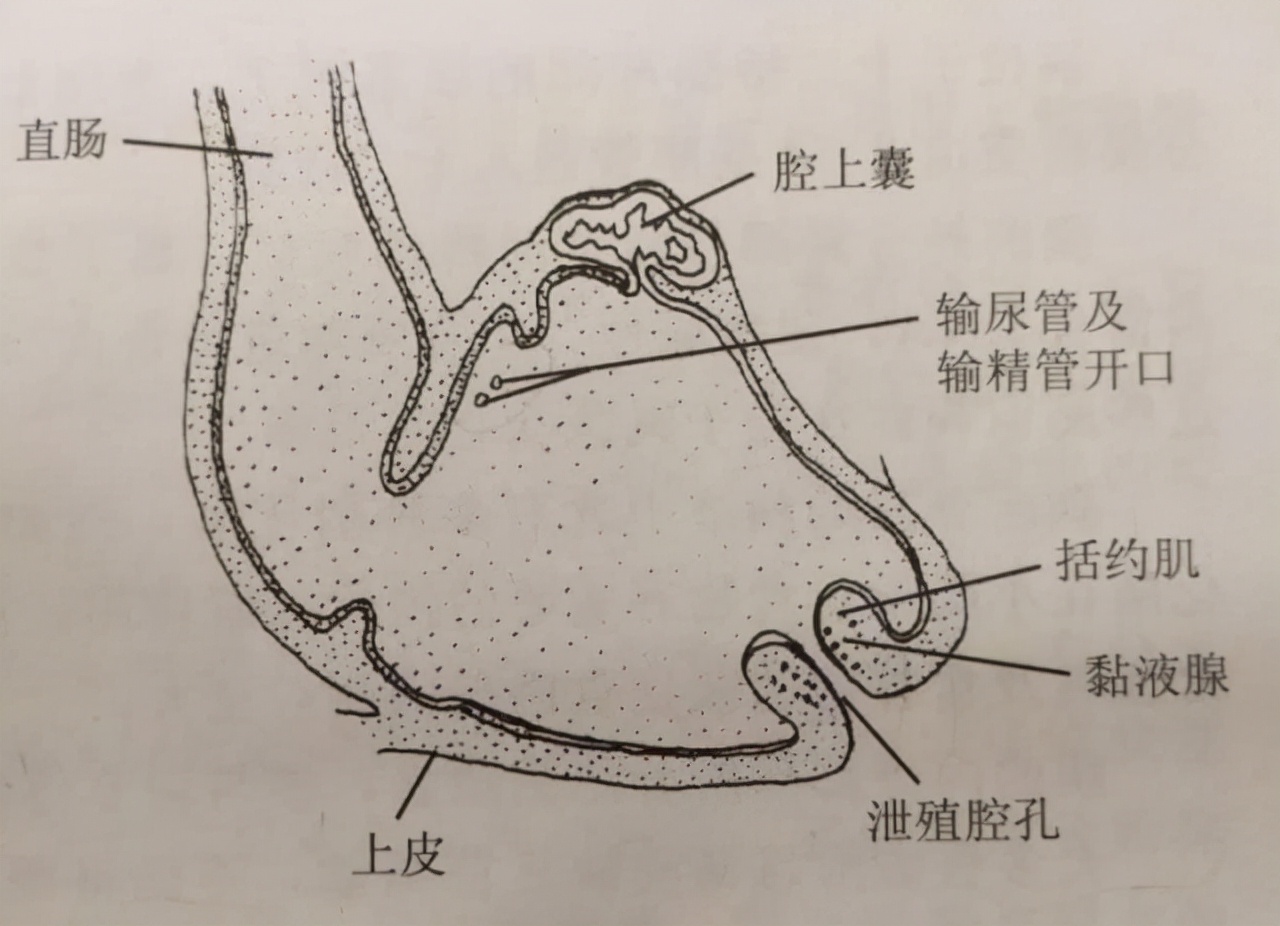 但人類不是?