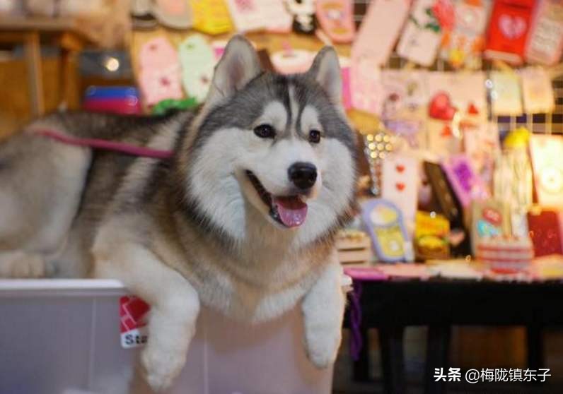 投资入门 (4)：投资投什么