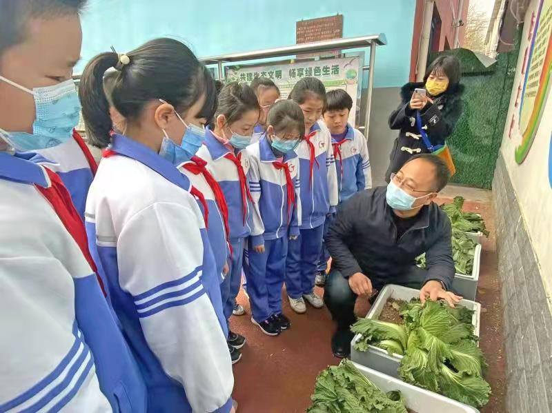 邯郸：丛台区学步桥小学开展校园劳动实践课