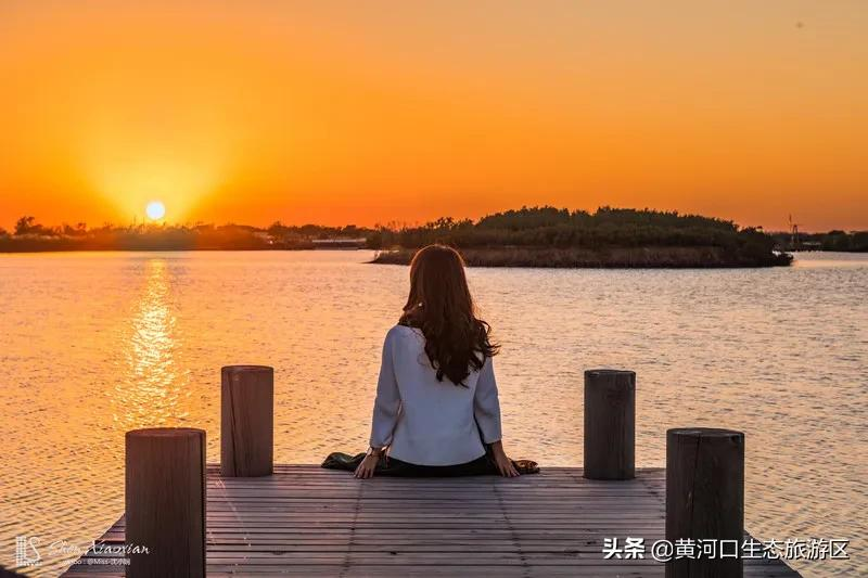 【黄河口生态旅游区】冬日暖阳 静享时光
