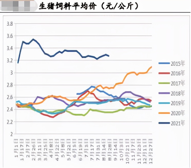 随猪起舞，玉米的天花板有多高？