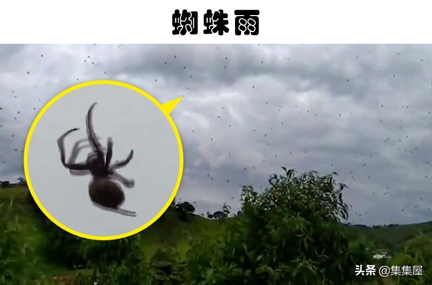 天空中下起“蜘蛛雨”是什么体验？世界上存在的6个神秘的事情