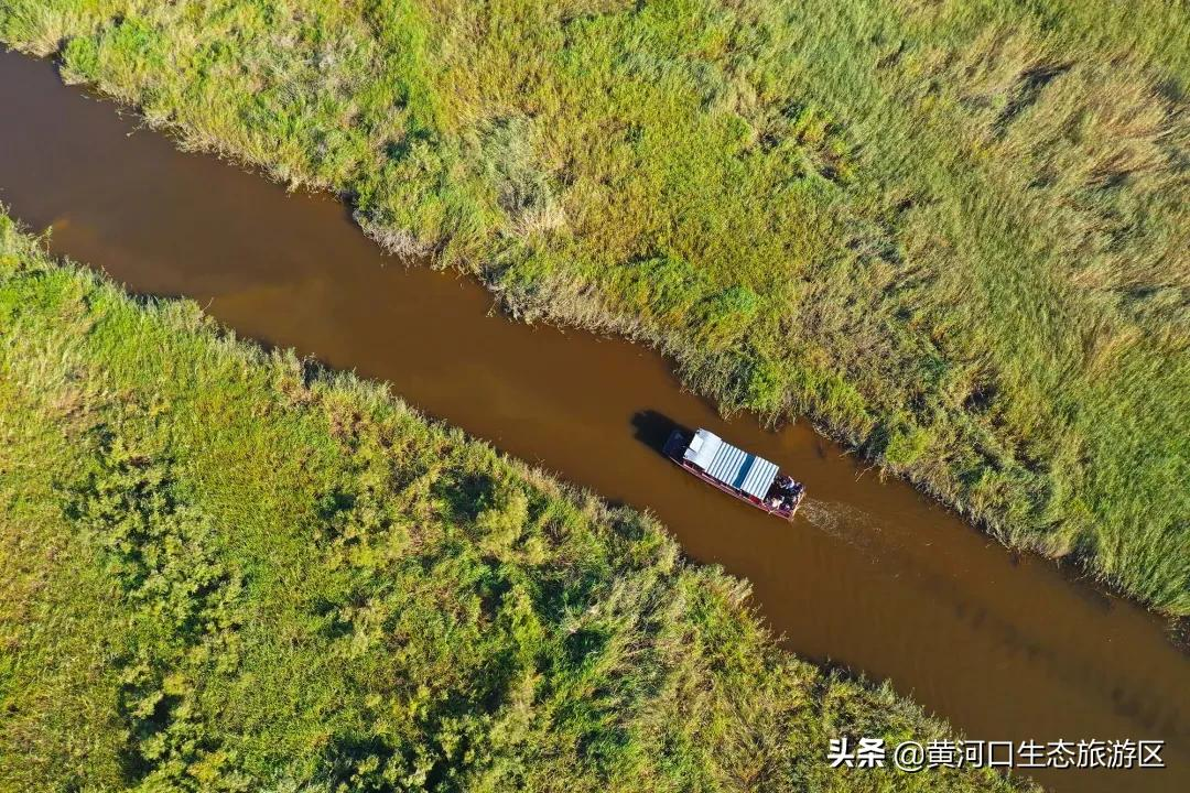 【黄河口生态旅游区】我已最美 欢迎回家