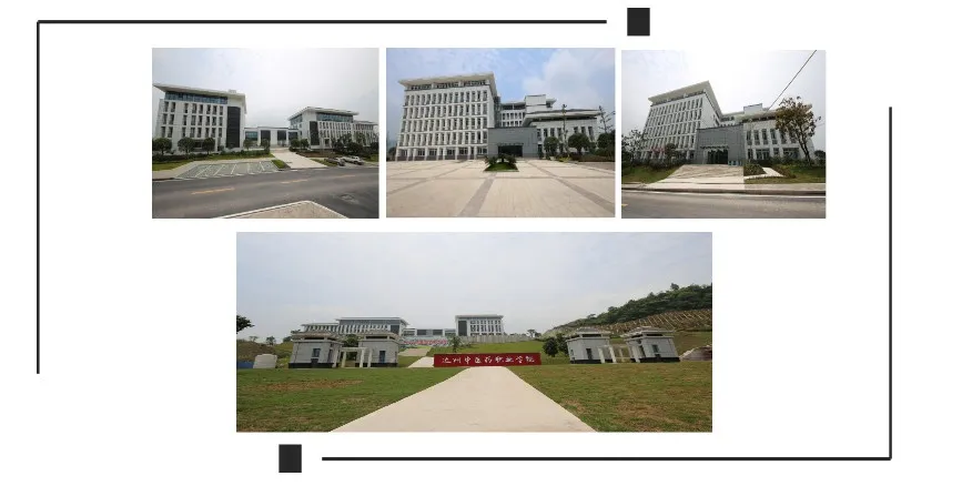 达州中医药职业学院2020年单招首秀，6个医学专业