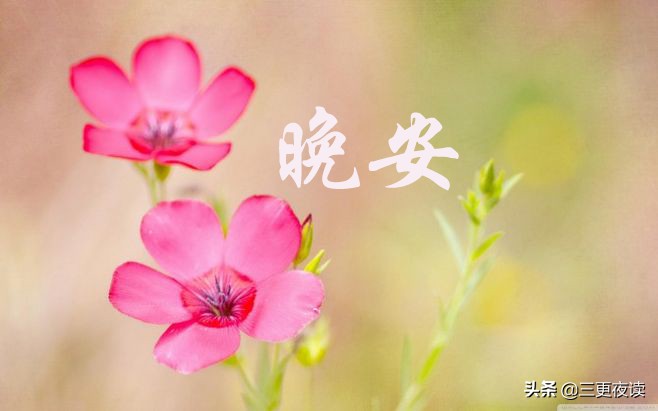晚安心语：人生的确苦短，岁月实在无情