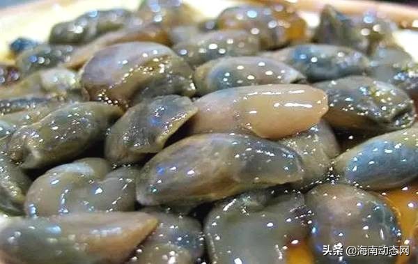 海魚圖片大全,海魚圖片大全及名稱