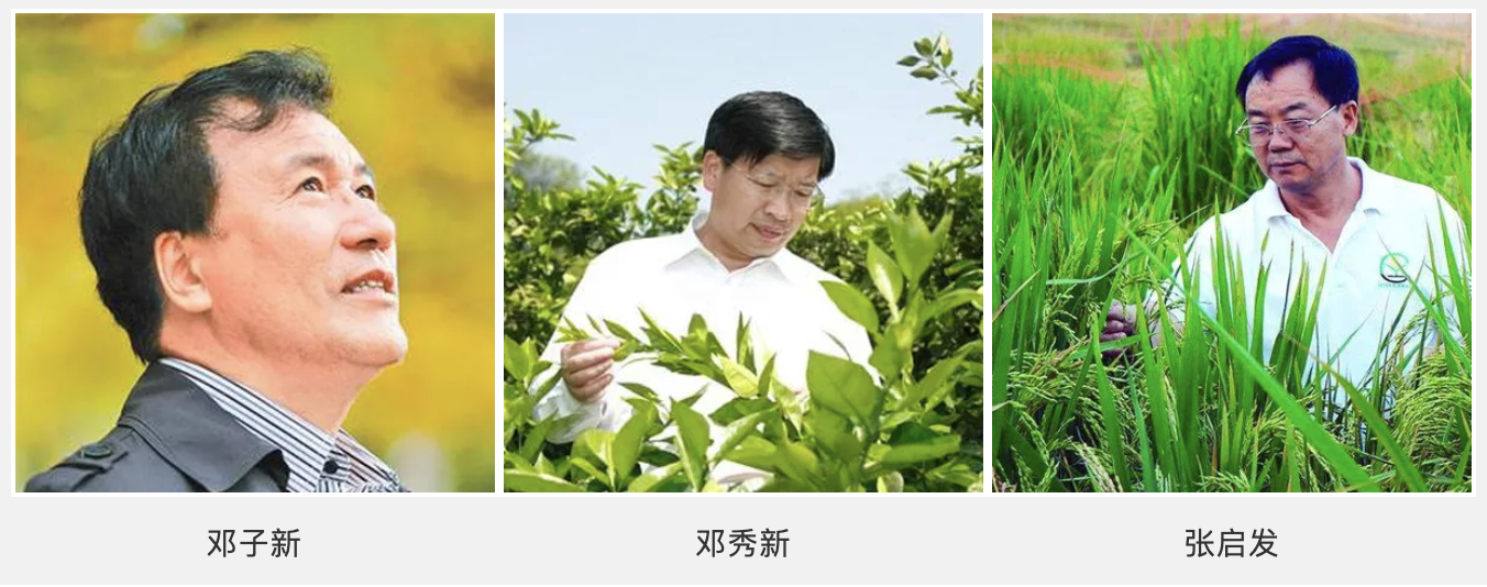 华中农业大学校长李召虎：高校的发展不能过度关注和盲从排名