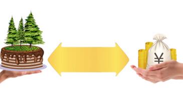 林地权属争议如何处理？第三人未参加诉讼可以申请再审吗？